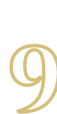 A '9' szám stilizált, arany színű betűvel, fehér háttér előtt.